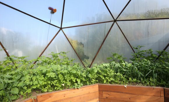 Bio-domes, Solar And Recycling – Why Becoming A Green School Can Help The Planet And Your Pupils