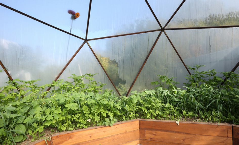 Bio-domes, Solar And Recycling – Why Becoming A Green School Can Help The Planet And Your Pupils