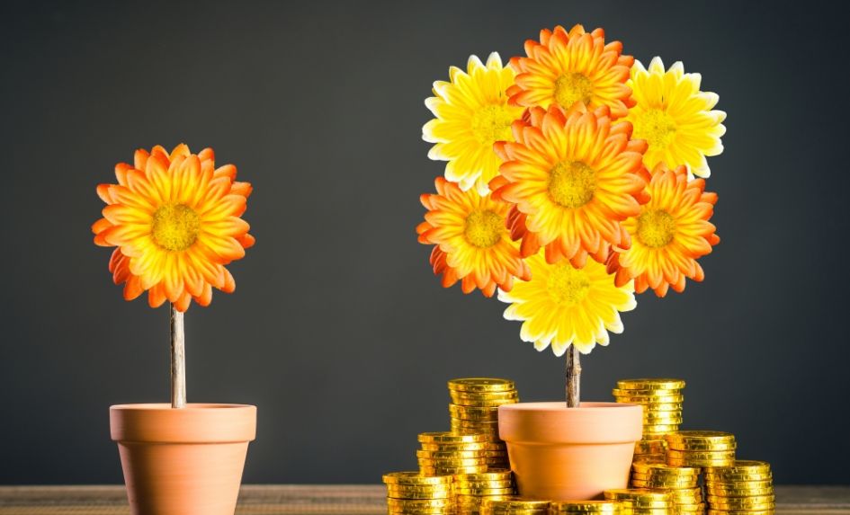 Why You Should Measure Your Finances Against Other Schools
