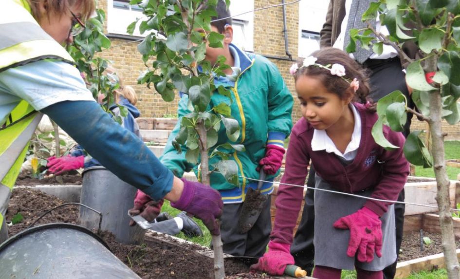 Edible Playgrounds – The Outdoor Learning Project to Harness Your Children’s Sense of Wonder for Nature