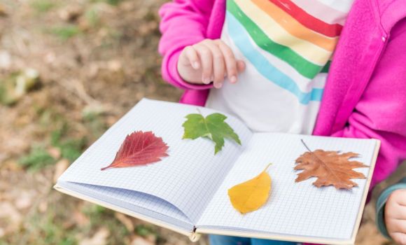 Transforming your school grounds