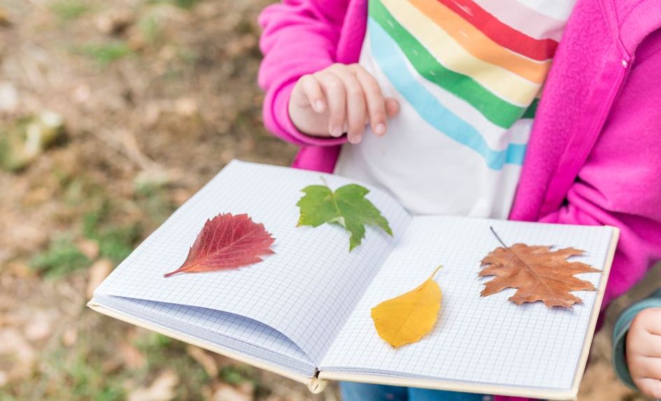 Transforming your school grounds