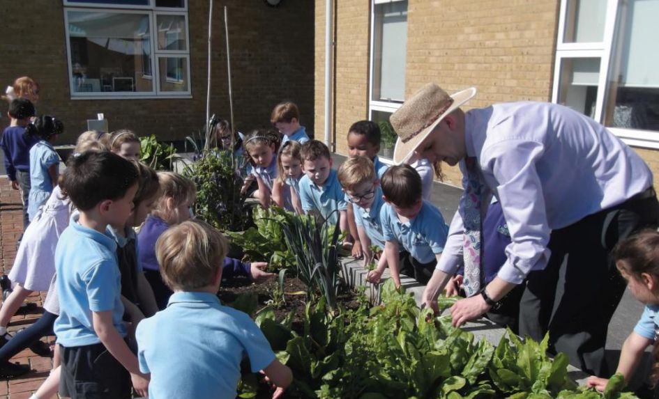 See the benefits of getting your school engaged with the environment