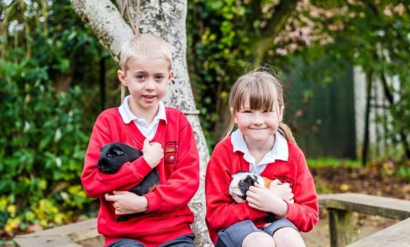 Animal interaction provides huge benefits for pupils