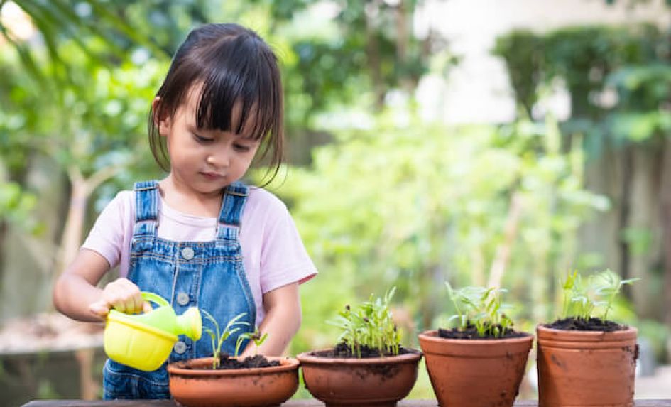 Lessons from the farm – Building confidence and curiosity in the classroom