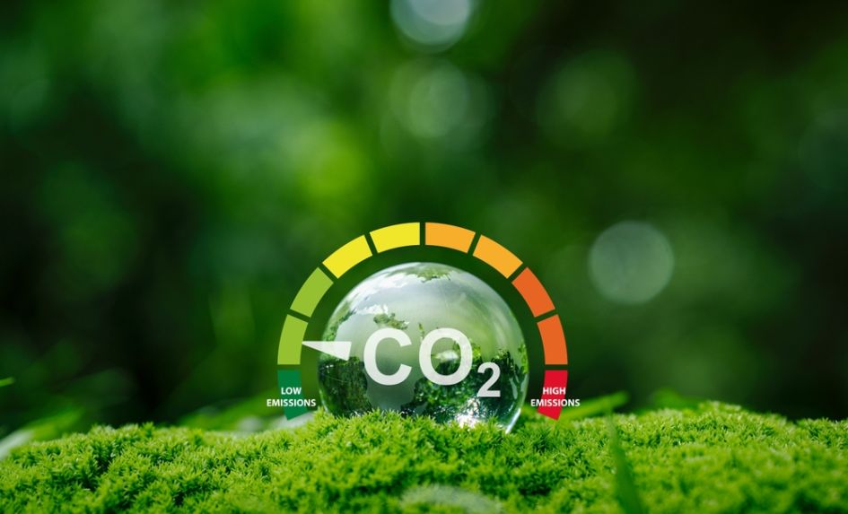 School sustainability – The benefits of a climate action plan