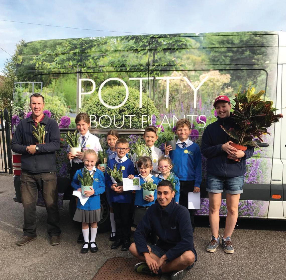 How Having Houseplants in your Classrooms can Help Students