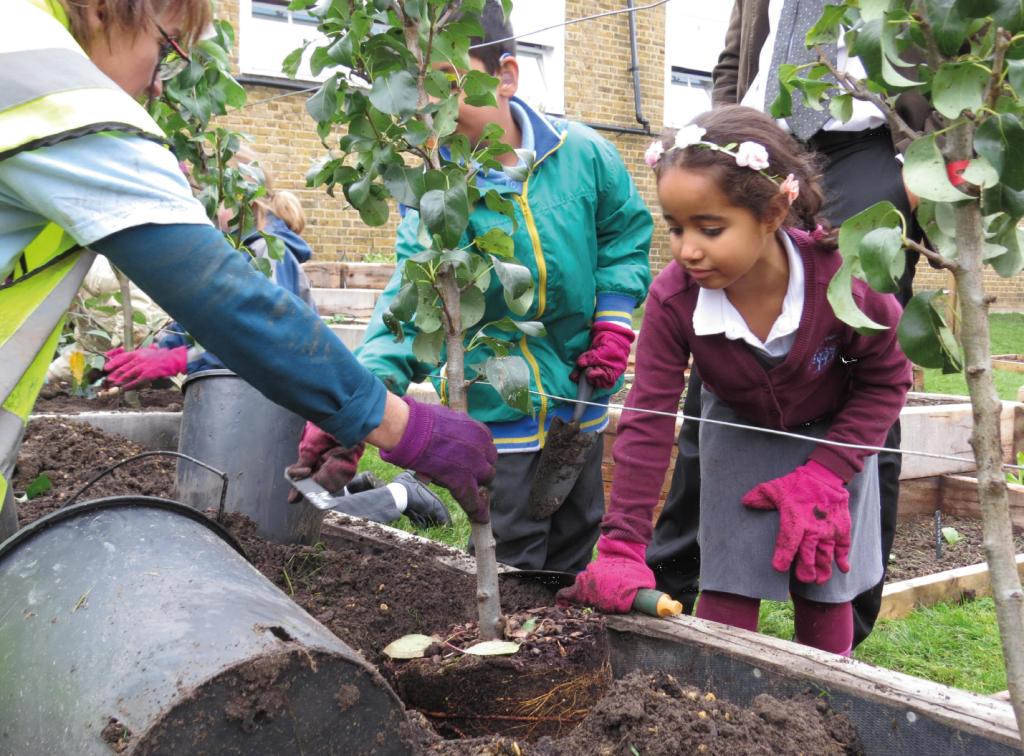 Edible Playgrounds – The Outdoor Learning Project to Harness Your Children’s Sense of Wonder for Nature
