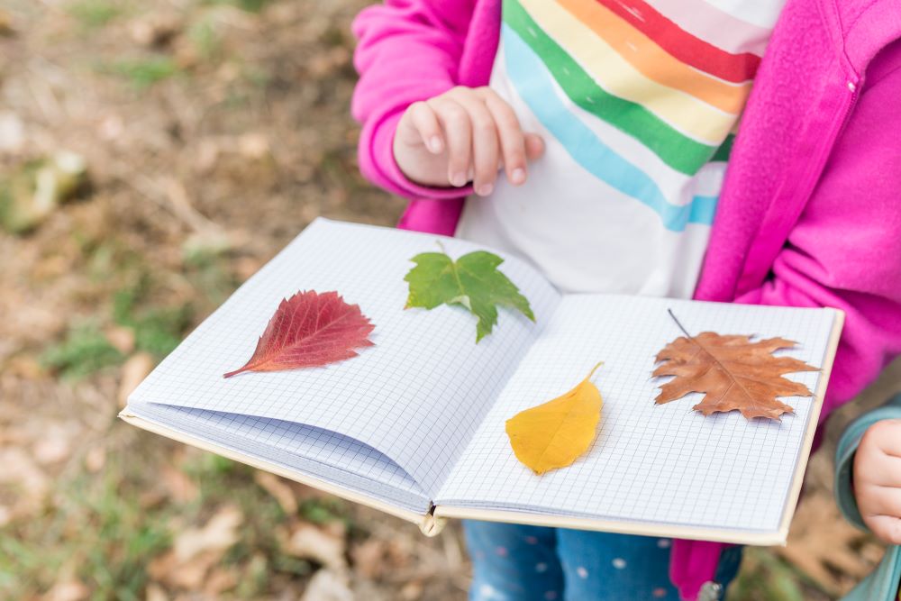Transforming your school grounds