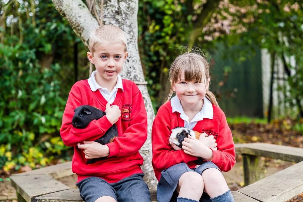 Animal interaction provides huge benefits for pupils