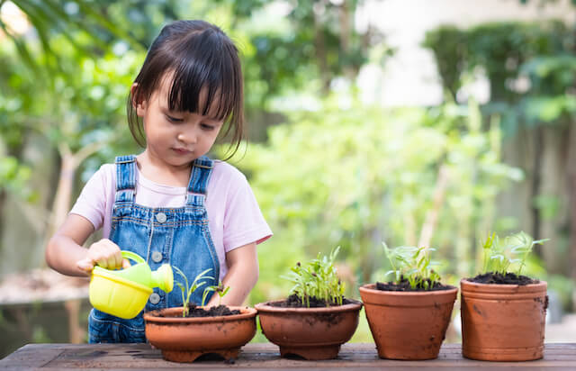 Lessons from the farm – Building confidence and curiosity in the classroom